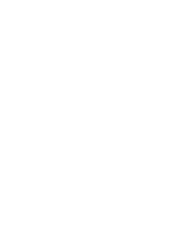 Eco Insect