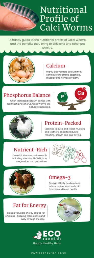 Calci Worms Nutritional Profile Infographic