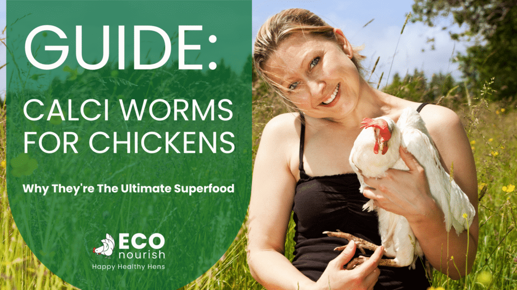 guide to calci worms for chickens