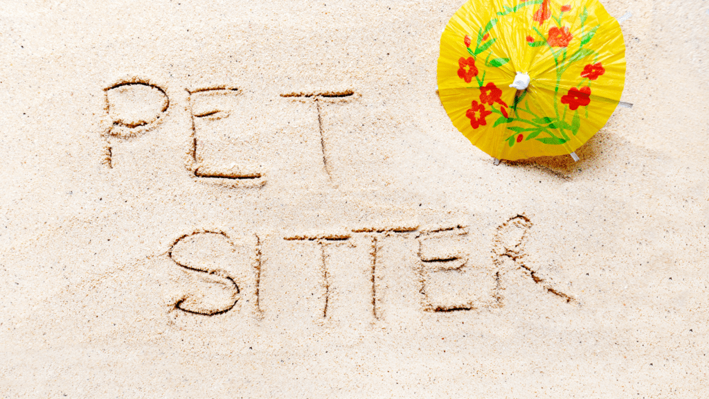 pet sitter written in sand