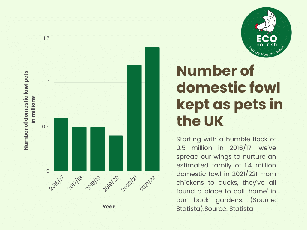 popularity of chickens as family pets in the UK
