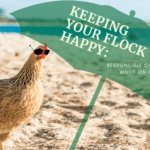 text: Keeping your flock happy: Responsible Chicken Care While on Holiday. Image: Chicken in sunglasses on the beach.