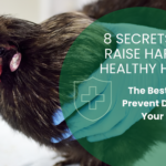 8 Secrets to Happy Healthy Hens