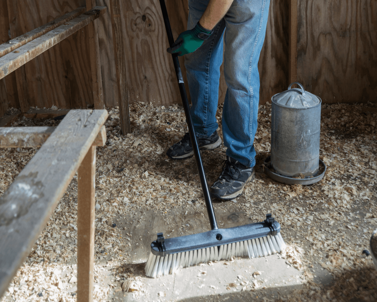 keeping coop clean for healthy hens