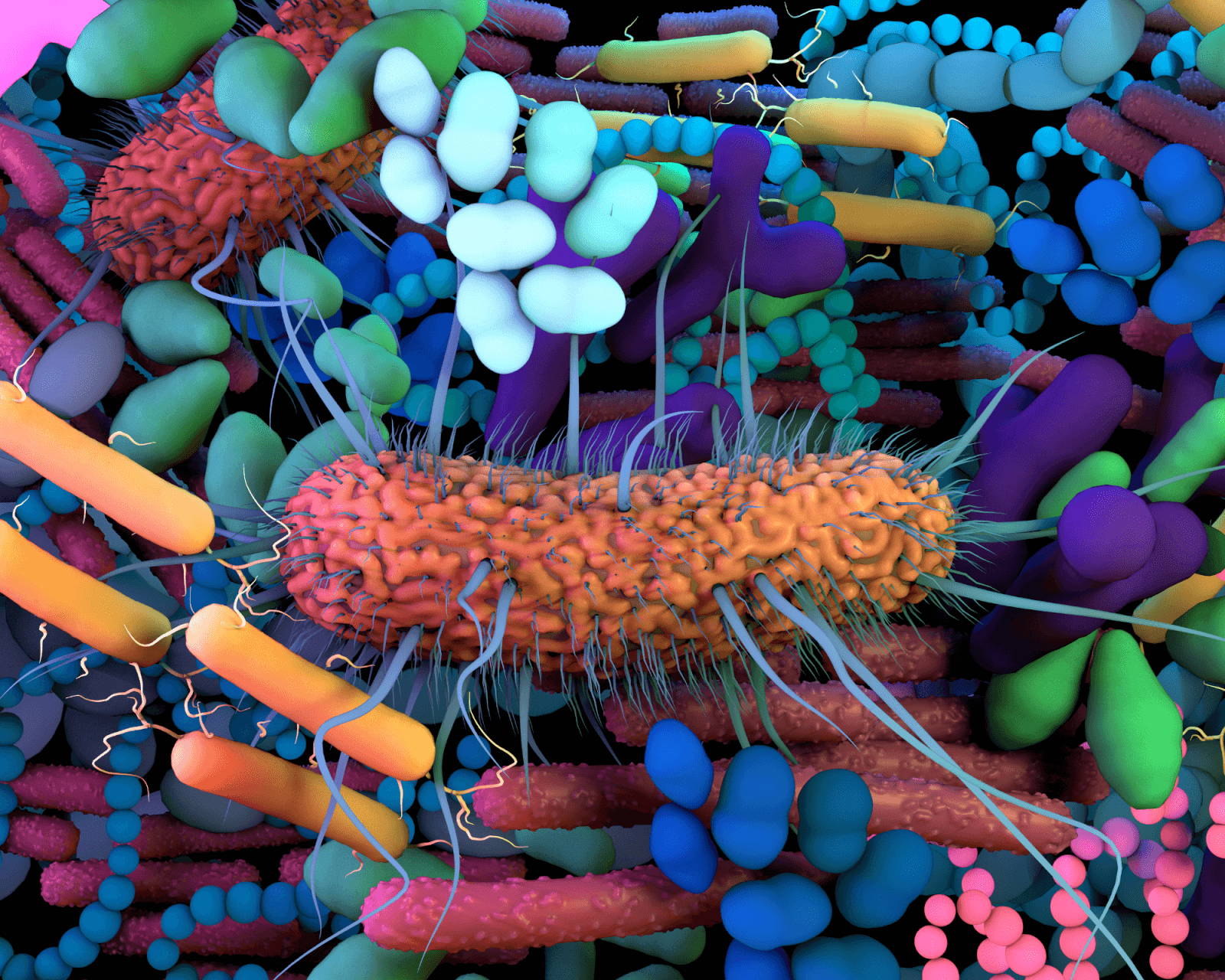 microbiome