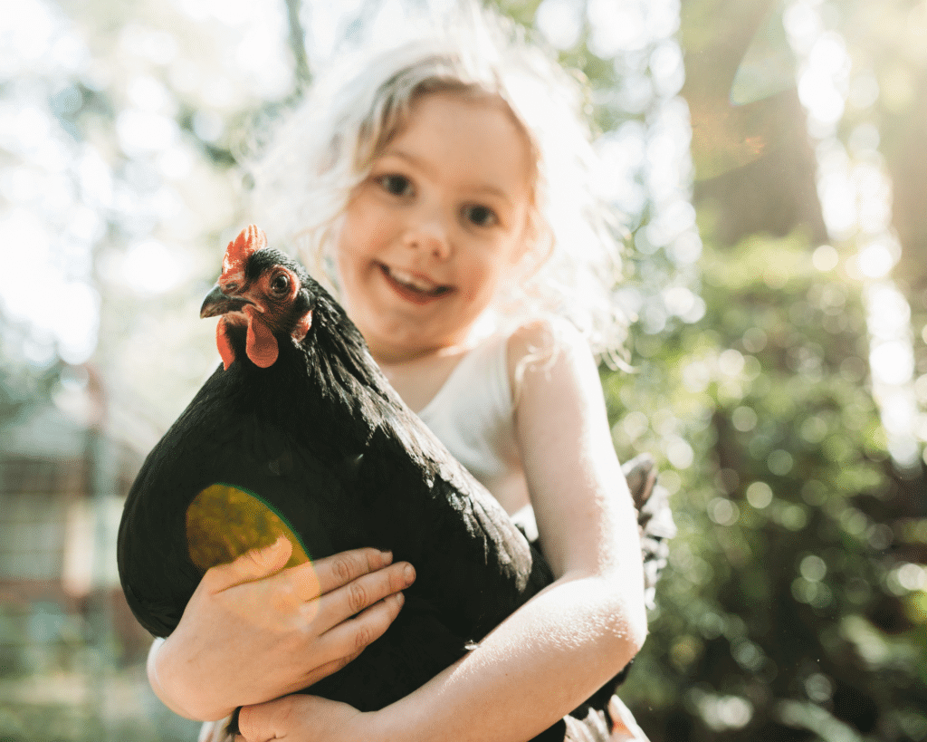 girl cuddling pet chicken