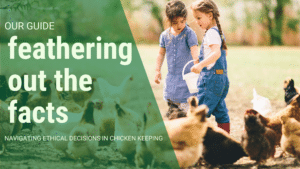 Guide to Navigating Ethical Decisions in Chicken Keeping. Image of children feeding chickens in garden.