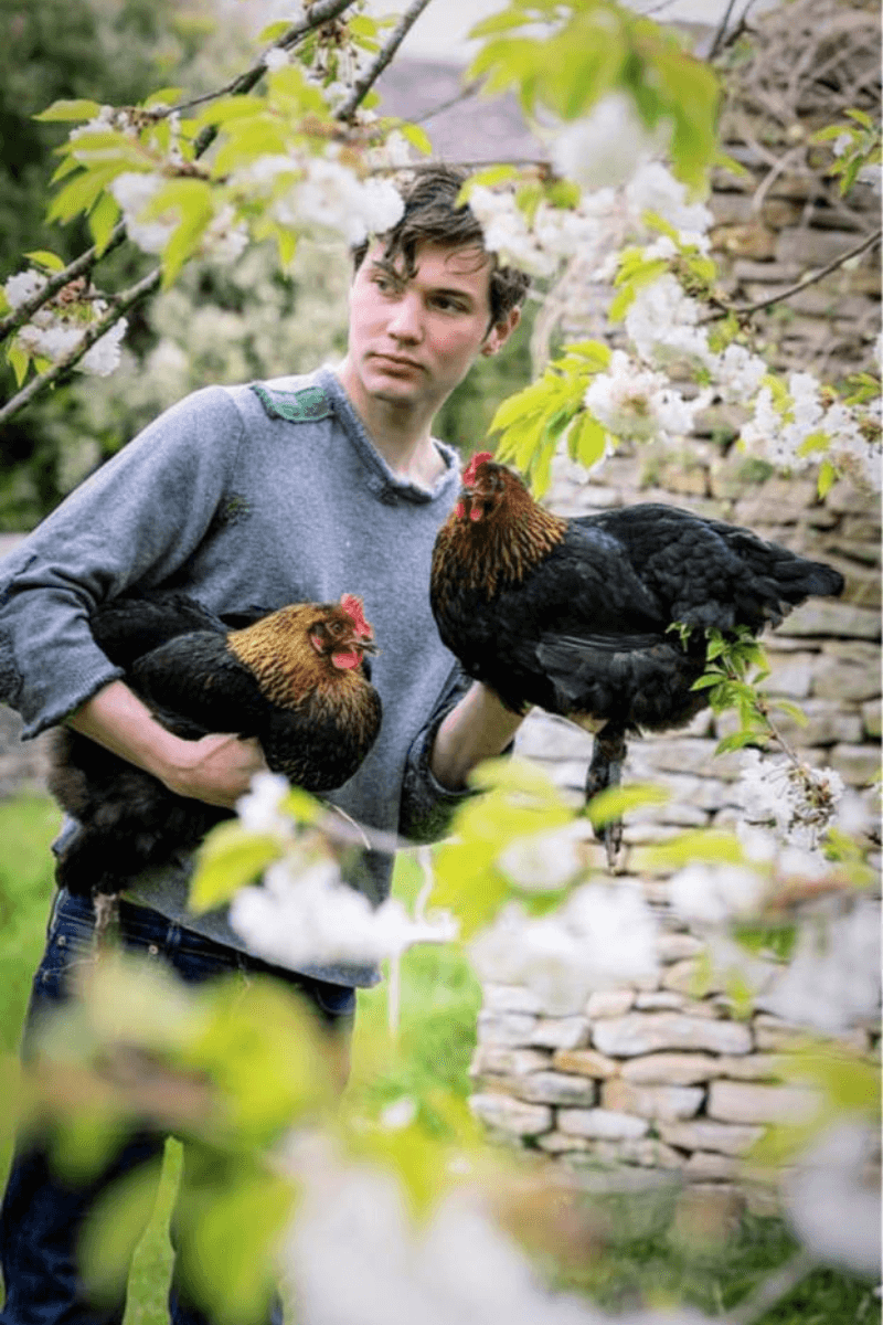 Arthur Parkinson Review ECOnourish Superfood Supplement for Chickens