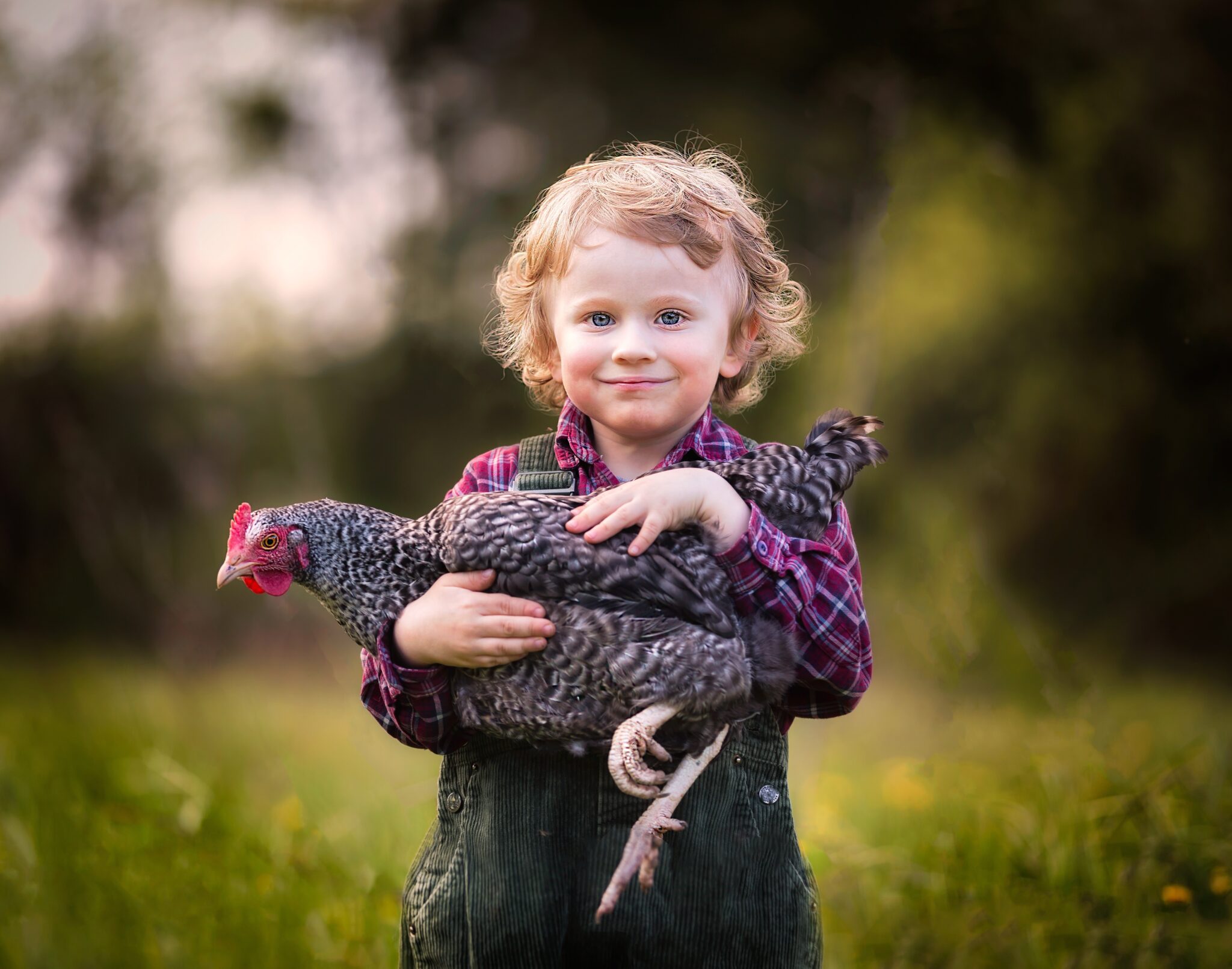 child hugging chicken