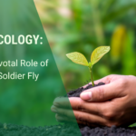 agroecology: the pivotal role of black soldier fly larvae
