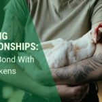 image of woman with feather tattoos holding a relaxed, happy chicken. Text: Building relationships: How to Bond With Pet Chickens